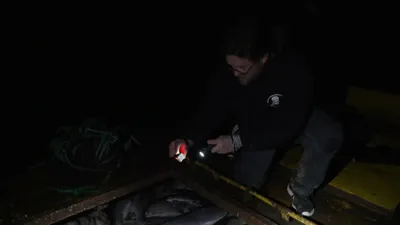 Saumon, comment on nous enfume