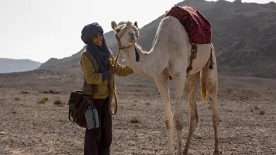 Prinzen der Wüste (German version)