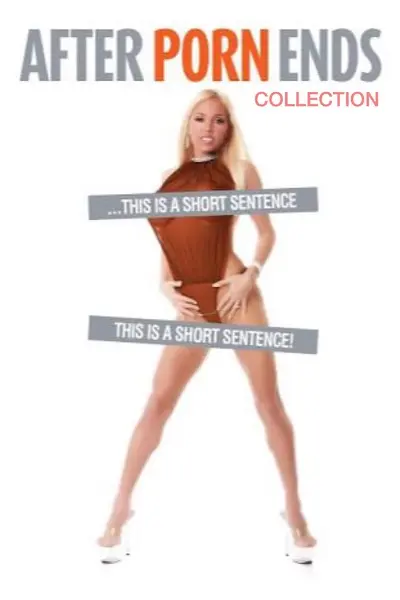 After Porn Ends