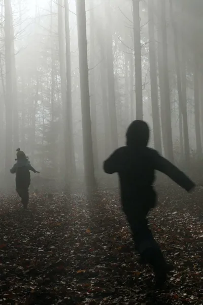 Being a Child. Exploration Among Tree Friends